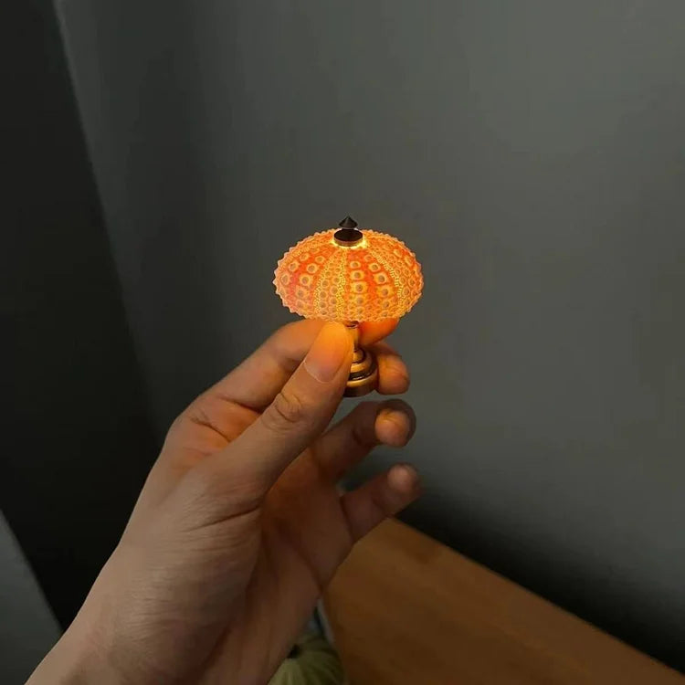 LumiCraft – Unique DIY table lamp with natural sea shell for a cozy décor