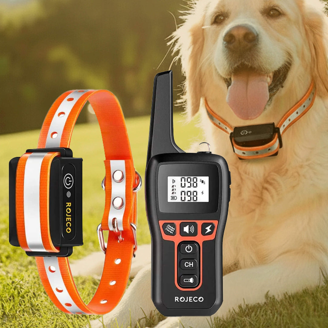 BowLift | 1000m Waterproof Dog Training Collar | Rechargeable, Remote Control &amp; Adjustable for Small, Medium, and Large Dogs