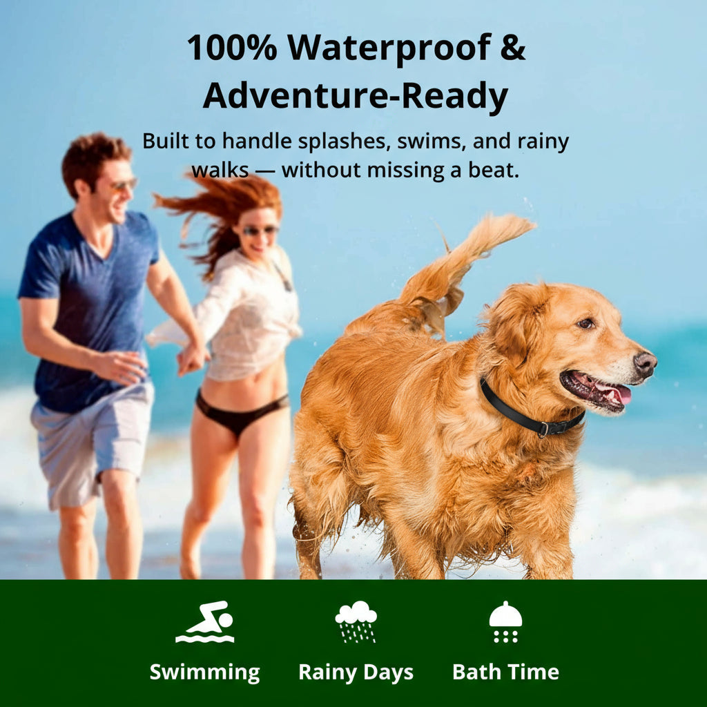 BowLift | 1000m Waterproof Dog Training Collar | Rechargeable, Remote Control &amp; Adjustable for Small, Medium, and Large Dogs