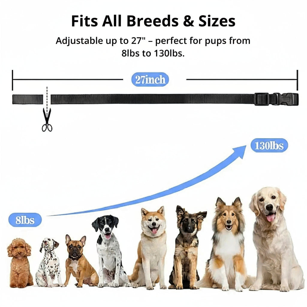 BowLift | 1000m Waterproof Dog Training Collar | Rechargeable, Remote Control &amp; Adjustable for Small, Medium, and Large Dogs