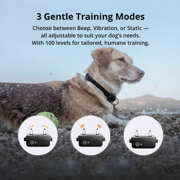BowLift | 1000m Waterproof Dog Training Collar | Rechargeable, Remote Control &amp; Adjustable for Small, Medium, and Large Dogs