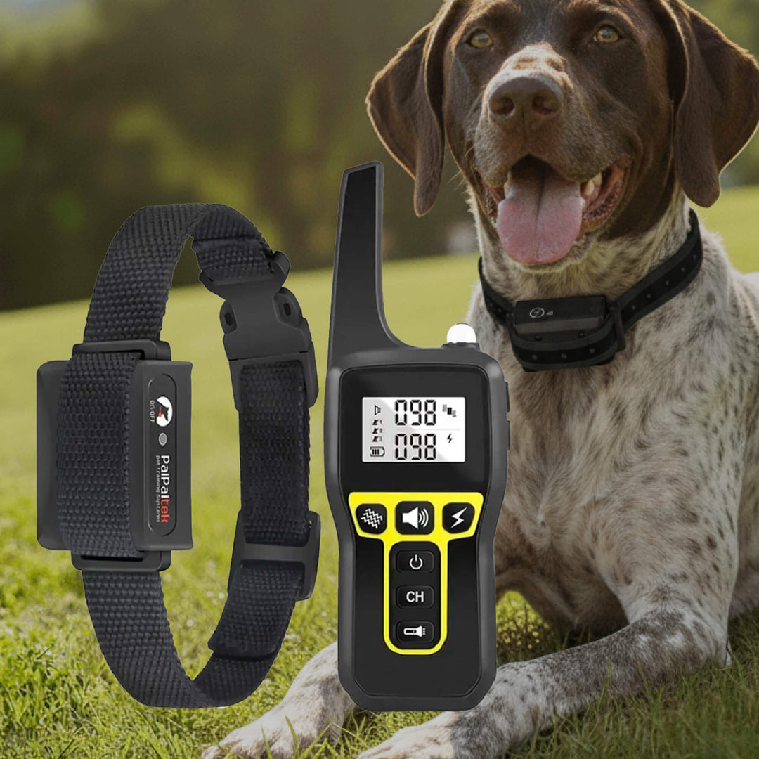 BowLift | 1000m Waterproof Dog Training Collar | Rechargeable, Remote Control &amp; Adjustable for Small, Medium, and Large Dogs
