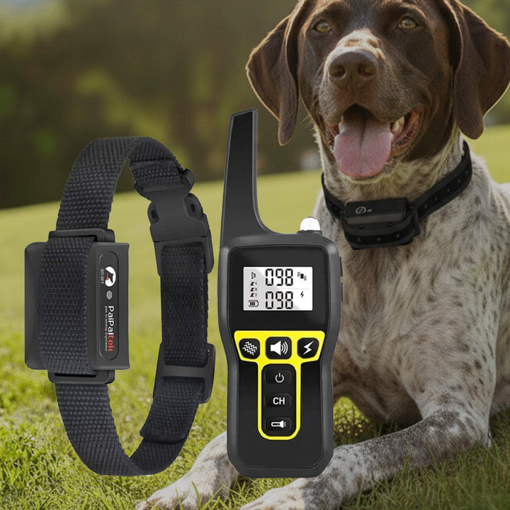 BowLift | 1000m Waterproof Dog Training Collar | Rechargeable, Remote Control &amp; Adjustable for Small, Medium, and Large Dogs