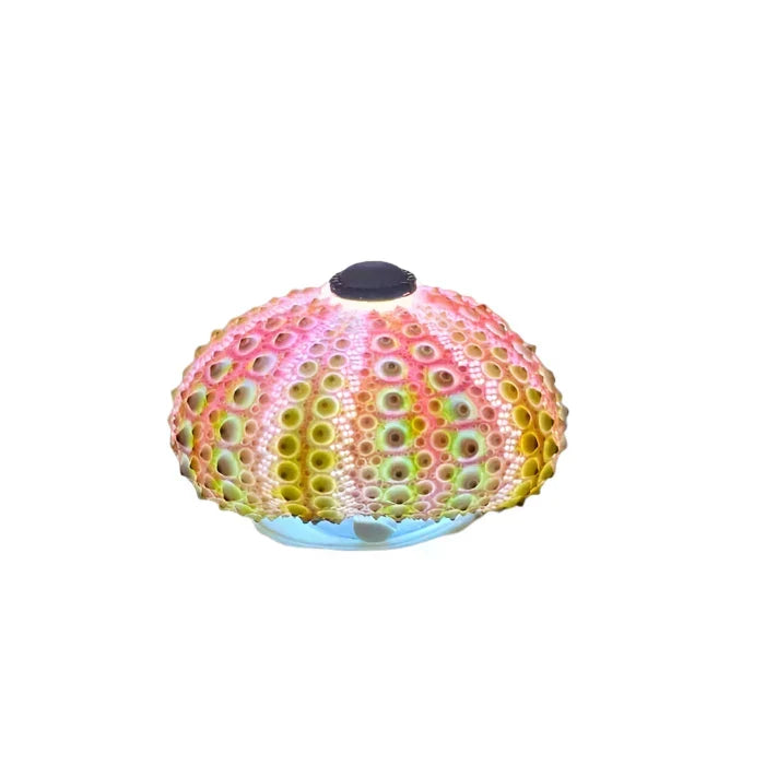 CoastalGlow DIY Hedgehog Night Light