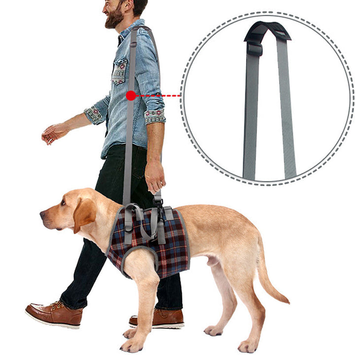 BowLift | Orthopedic Rear Leg Support Harness for Dogs – Ideal for Arthritis, Hip Dysplasia &amp; Mobility Aid
