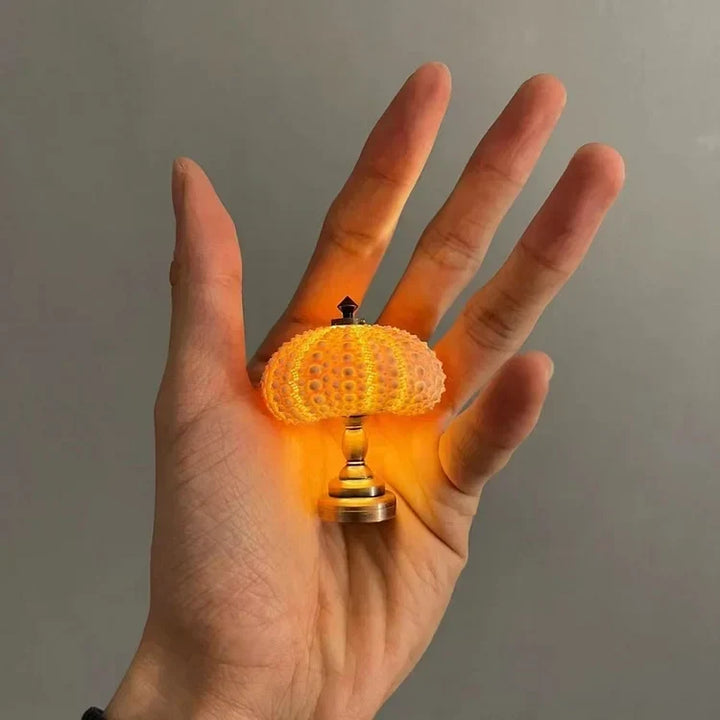 LumiCraft – Unique DIY table lamp with natural sea shell for a cozy décor