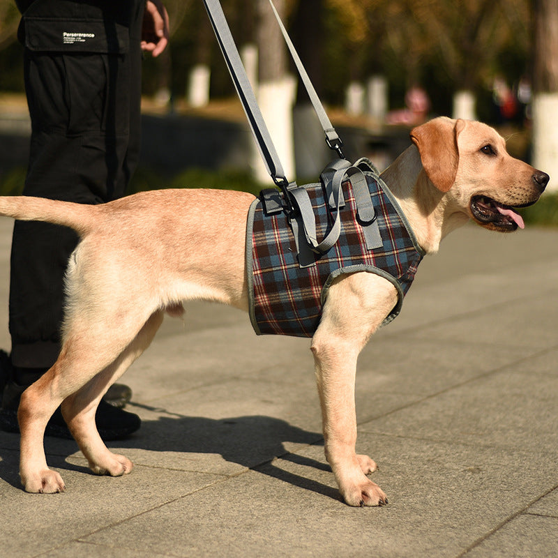 BowLift | Orthopedic Rear Leg Support Harness for Dogs – Ideal for Arthritis, Hip Dysplasia &amp; Mobility Aid