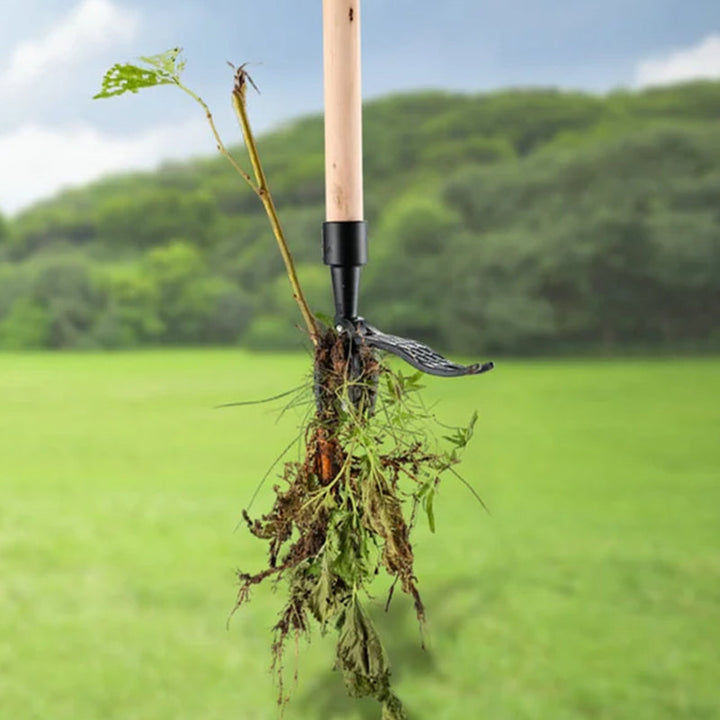 BowLift | Stainless steel adjustable long handle removable weeder