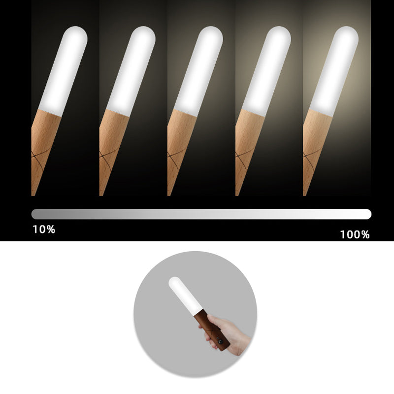 Intelligent Sensor Night Light |