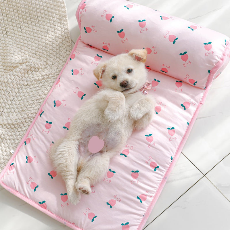 Pet Summer Cool Bed Ice Silk Cooling Mat for Dogs &amp; Cats | Bowlift