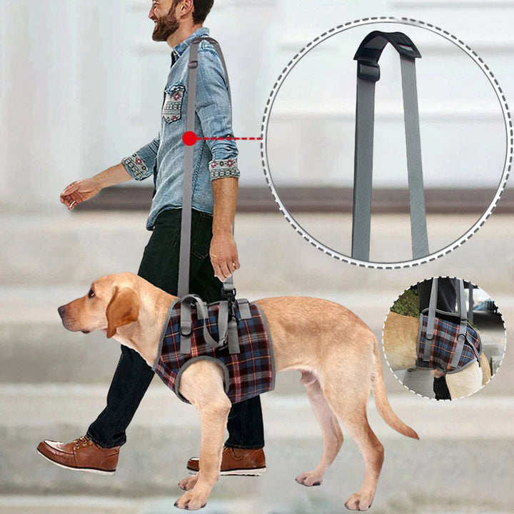BowLift | Orthopedic Rear Leg Support Harness for Dogs – Ideal for Arthritis, Hip Dysplasia &amp; Mobility Aid