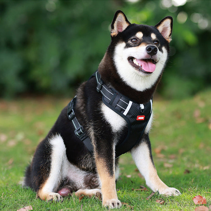 BowLift | Reflective Dog Harness