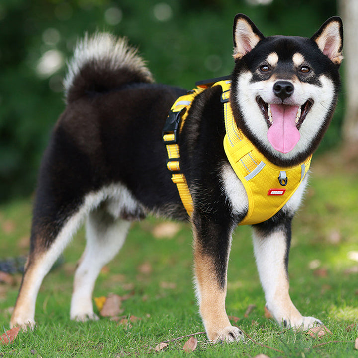 BowLift | Reflective Dog Harness