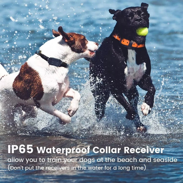 BowLift | Adjustable Electric Dog Training E-Collar – Safe, Effective Remote Control