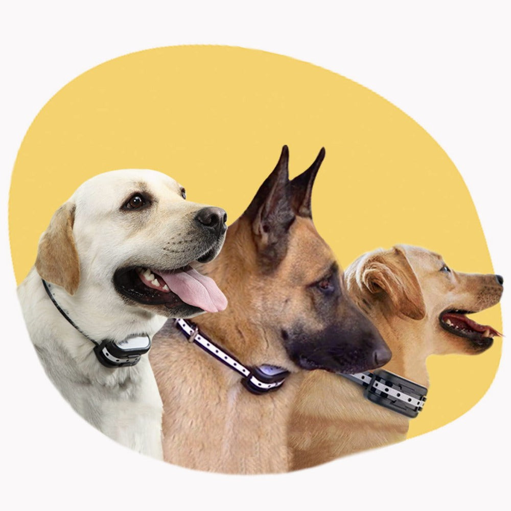BowLift | SafeZone Wireless Dog Fence &amp; Training Collar – Rechargeable, Waterproof &amp; Pet-Friendly Correction Modes
