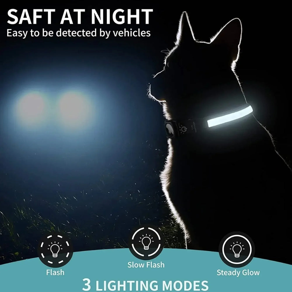 BowLift | Flashing Dog Collars – Waterproof LED Light Up Dog Collar with USB Rechargeable Glow, Dog Collars Illuminated for Night Safety, All Sizes
