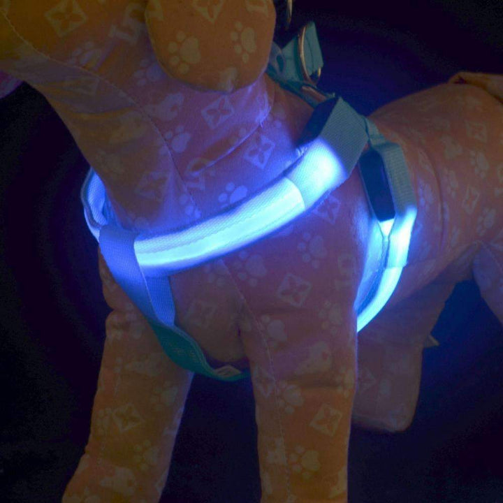 BowLift | High-Quality Collar Dog - Without Any Fear of Missing Your Beloved Pet Dog!