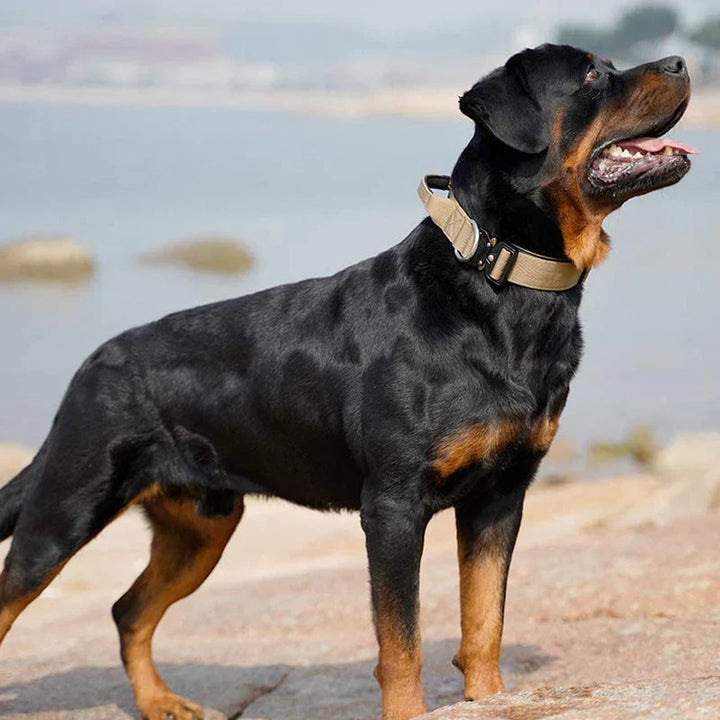 Tactical Dog Collar with Handle – GripMaster Bowlift