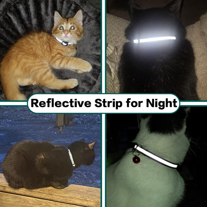 BowLift | Stay Connected: pet locator collar