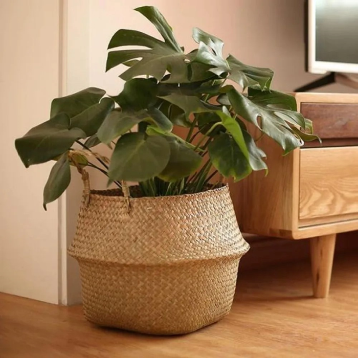 BowLift | Rattan Plant Holder