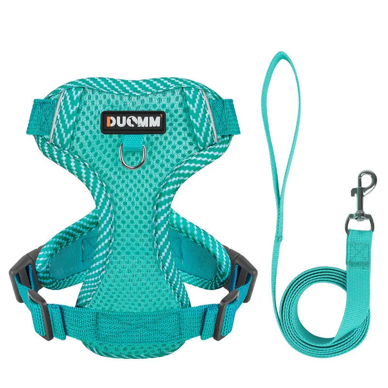 Reflective Dog Harness and Leash Set for Small Dogs – SafeStep Bowlift