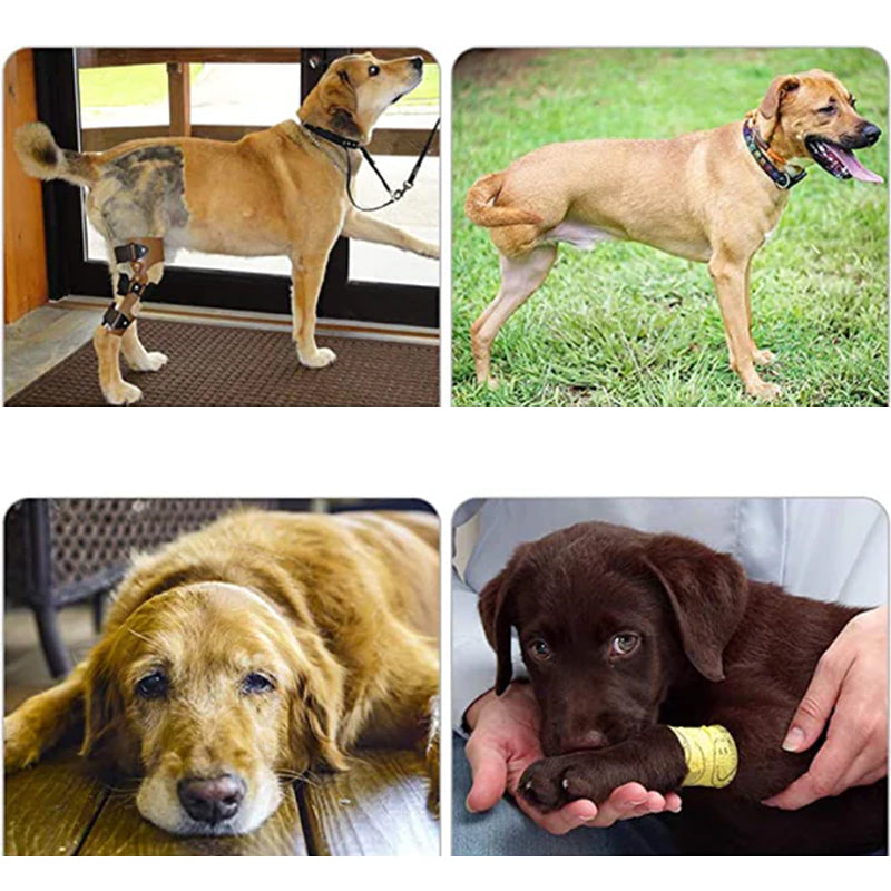 BowLift | Orthopedic Rear Leg Support Harness for Dogs – Ideal for Arthritis, Hip Dysplasia &amp; Mobility Aid