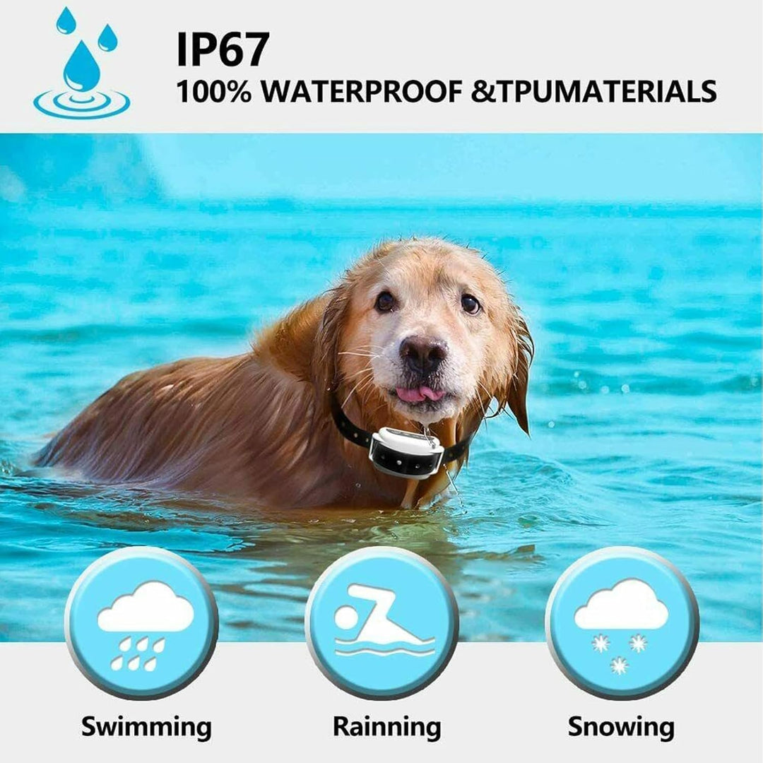 BowLift | Wireless Dog Fence Collar System | Waterproof, Rechargeable &amp; Ideal for Home Training and Outdoor Adventures