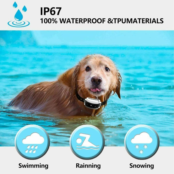 BowLift | Wireless Dog Fence Collar System | Waterproof, Rechargeable &amp; Ideal for Home Training and Outdoor Adventures