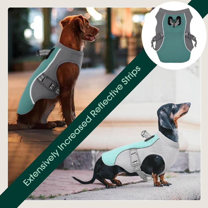 BowLift | Summer Reflective Dog Cooling Vest &amp; Quick-Release Harness