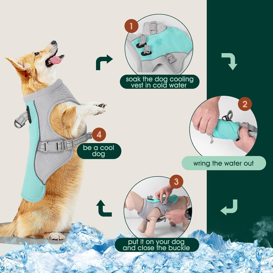 BowLift | Summer Reflective Dog Cooling Vest &amp; Quick-Release Harness