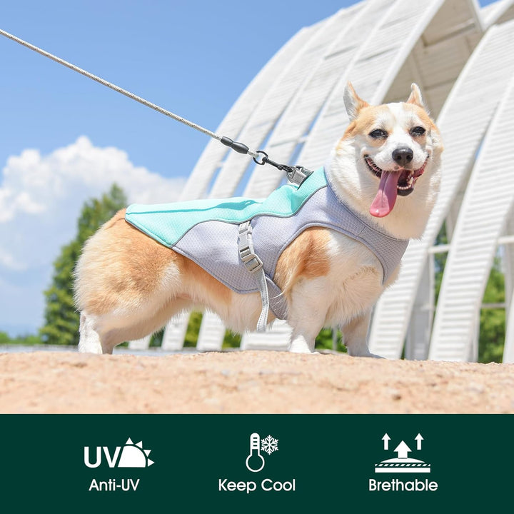 BowLift | Summer Reflective Dog Cooling Vest &amp; Quick-Release Harness