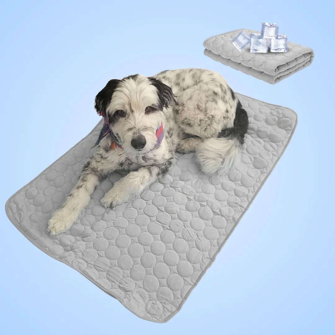 BowLift | COOLTAILS - Premium Cooling Mat