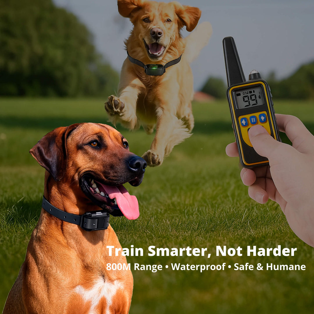 BowLift | 800M Rechargeable Electric Dog Training Collar | Waterproof, Remote Control &amp; Ideal for Effective Dog Training