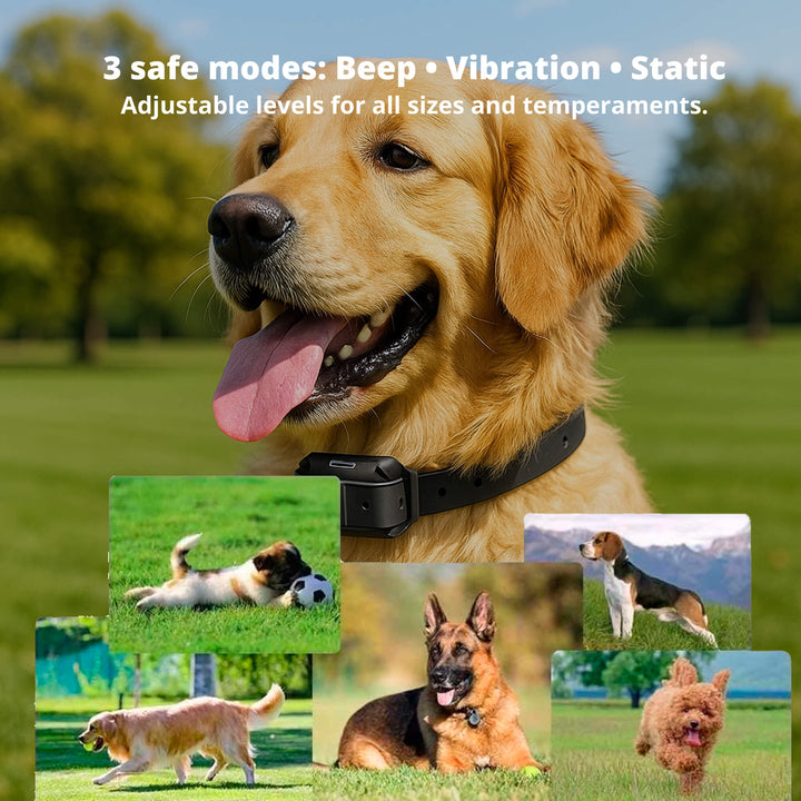 BowLift | 800M Rechargeable Electric Dog Training Collar | Waterproof, Remote Control &amp; Ideal for Effective Dog Training
