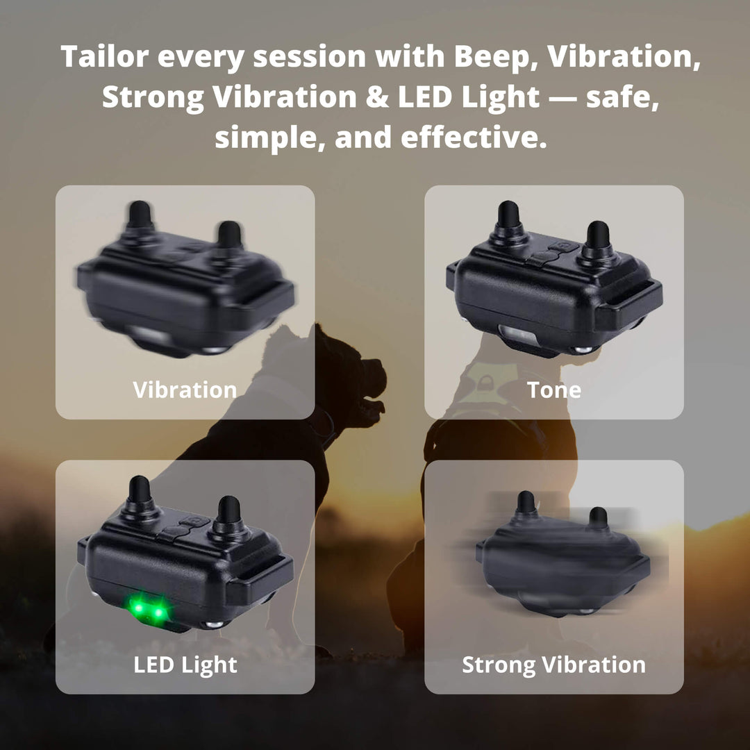 BowLift | 800M Rechargeable Electric Dog Training Collar | Waterproof, Remote Control &amp; Ideal for Effective Dog Training