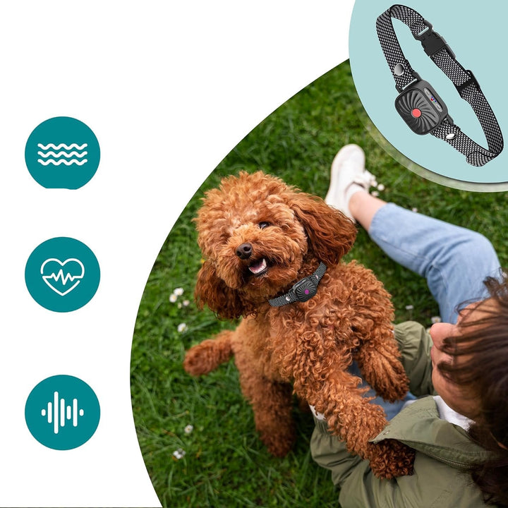BowLift | Adjustable Anti Bark Collar for Dogs | Humane, Comfortable &amp; Effective Bark Control Device for Small to Large Breeds