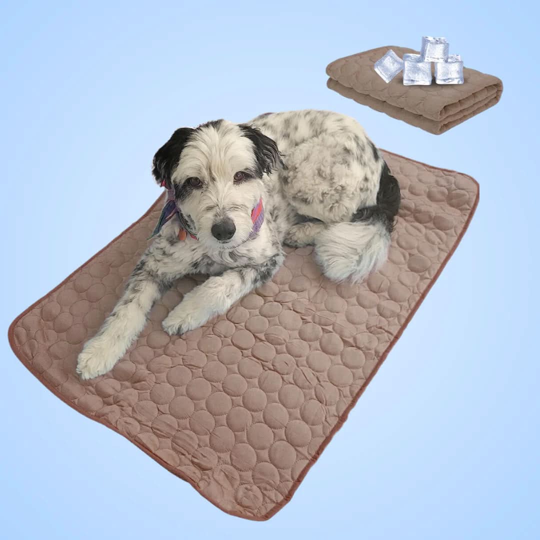 BowLift | COOLTAILS - Premium Cooling Mat