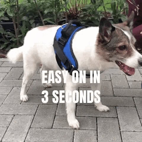 BowLift | Anti Choke Dog Harness