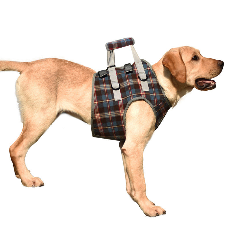 BowLift | Orthopedic Rear Leg Support Harness for Dogs – Ideal for Arthritis, Hip Dysplasia &amp; Mobility Aid