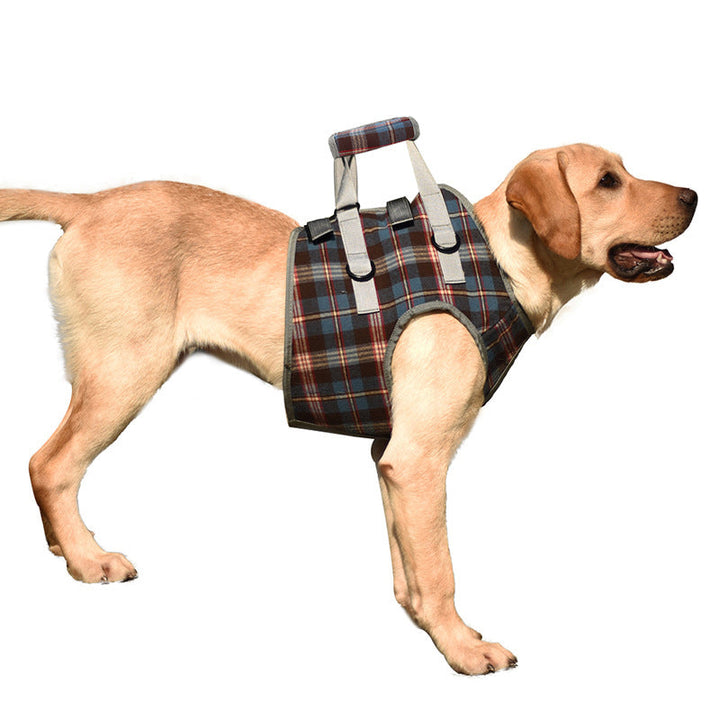 BowLift | Orthopedic Rear Leg Support Harness for Dogs – Ideal for Arthritis, Hip Dysplasia &amp; Mobility Aid