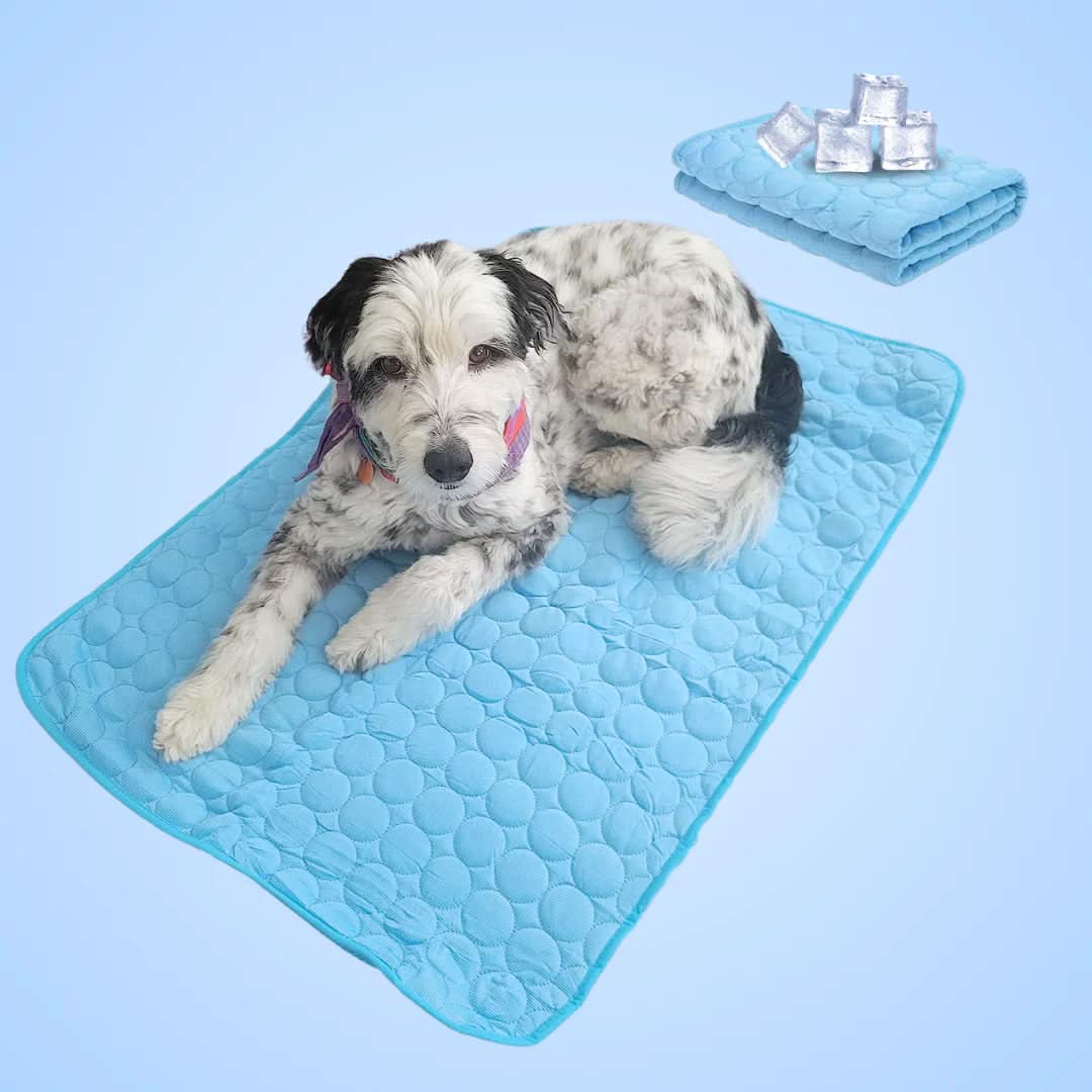 BowLift | COOLTAILS - Premium Cooling Mat