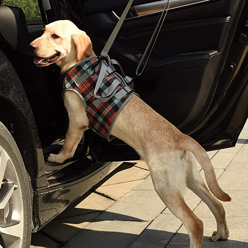 BowLift | Orthopedic Rear Leg Support Harness for Dogs – Ideal for Arthritis, Hip Dysplasia &amp; Mobility Aid