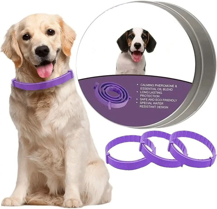 BowLift | Calming collar with pheromones &amp; essential oils for dogs