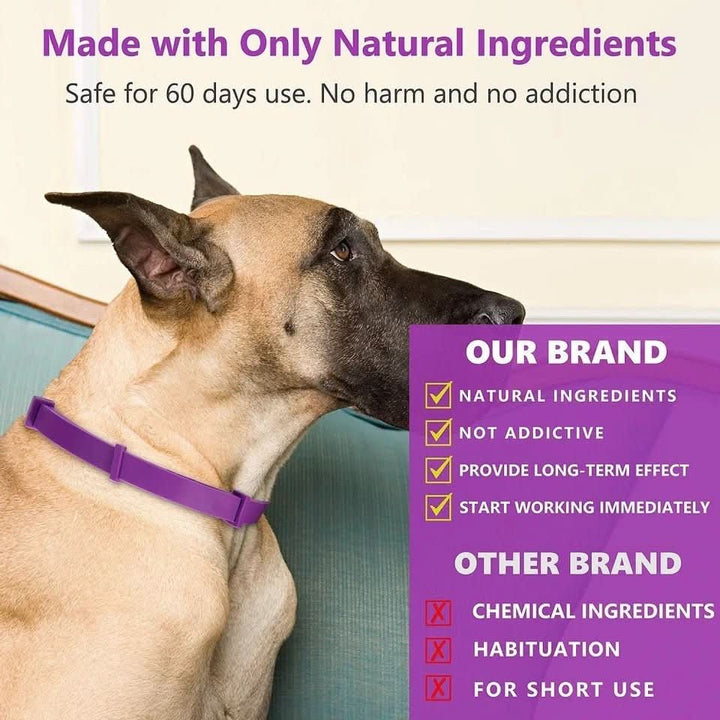 BowLift | CALMDOG – Calming collar with pheromones &amp; essential oils for dogs