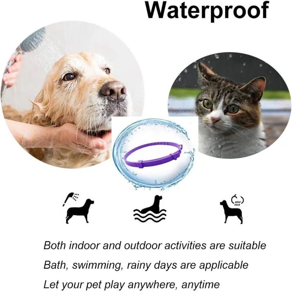BowLift | CALMDOG – Calming collar with pheromones &amp; essential oils for dogs