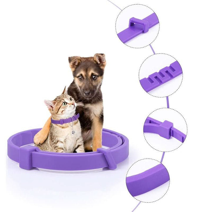 BowLift | CALMDOG – Calming collar with pheromones &amp; essential oils for dogs