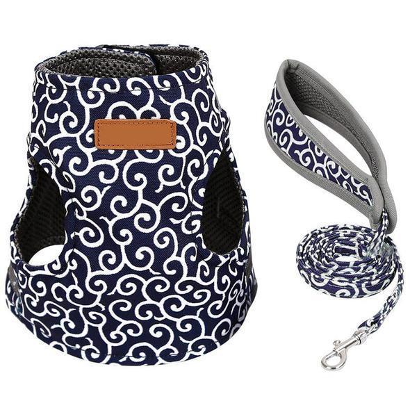 Collar jacket and leash for cat | Bowlift