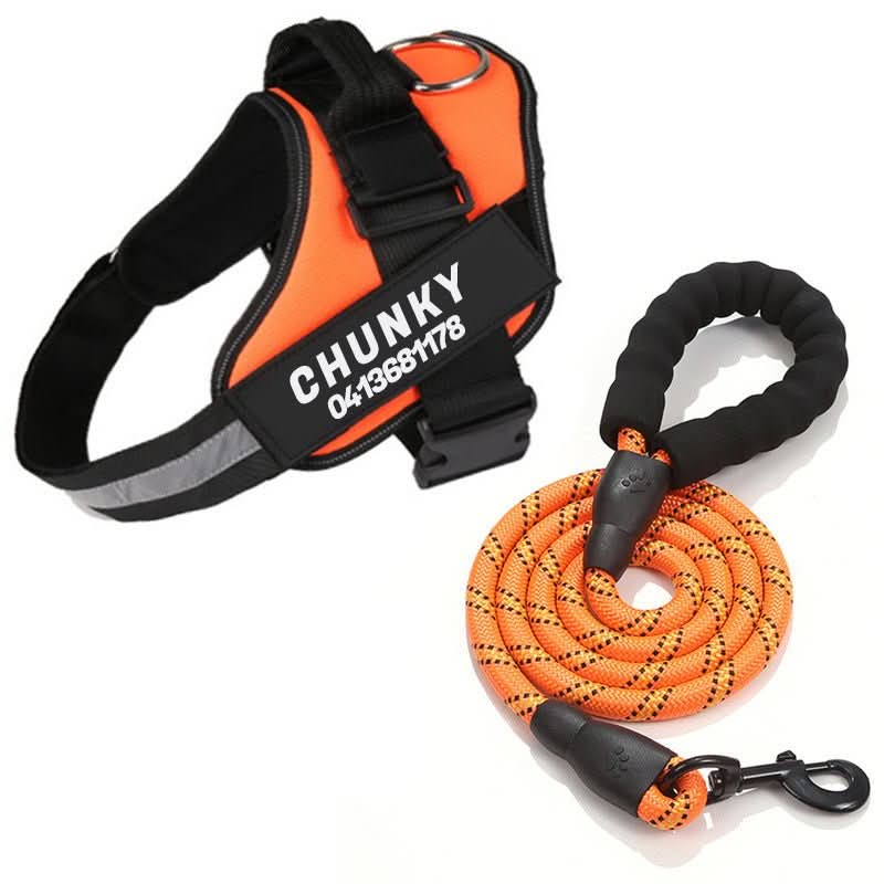 BowLift | Safety Dog Harness with Name Tag &amp; Reflectors