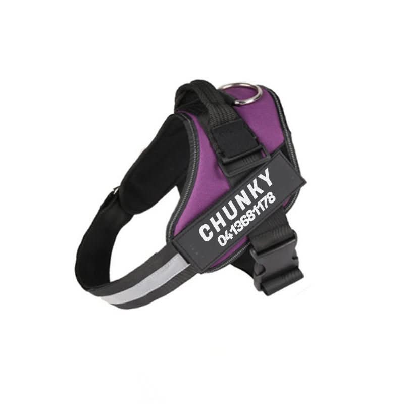 BowLift | DOGSAFE HARNESS – Safety dog harness with name tag &amp; reflectors