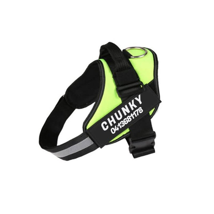 BowLift | DOGSAFE HARNESS – Safety dog harness with name tag &amp; reflectors